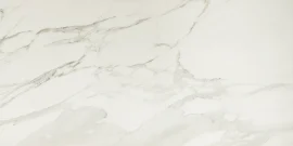 Valentina Calacatta 24×48 Field Tile Matte Rectified