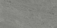 Pictured Rocks Slate 12×24 Field Tile Matte Rectified