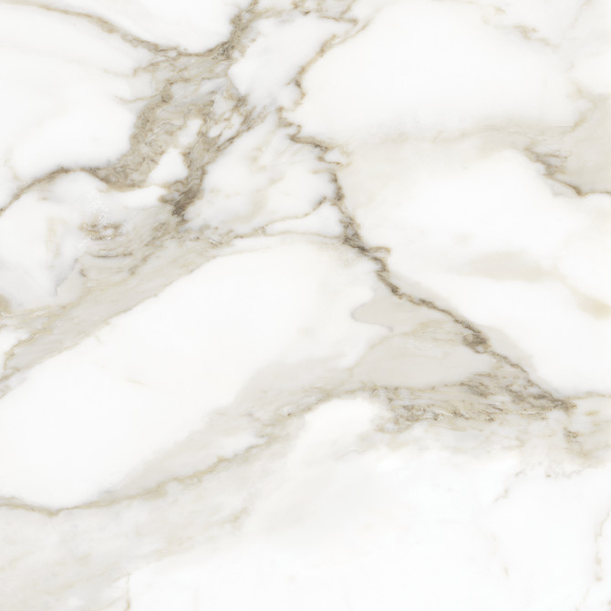 La Marca Calacatta Paonazzo 24X24 Polished Rectified