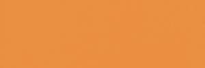 Color Story Mandarin 4×12 Field Tile