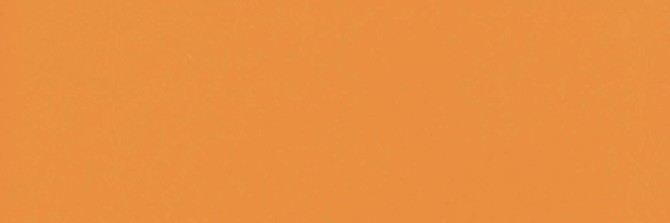 Color Story Mandarin 4×12 Field Tile