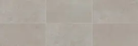 Alta Gray 3×24 Bullnose Matte Rectified