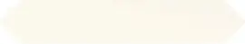 Sol Bone 2×9 Picket Floor Tile Semi-Matte