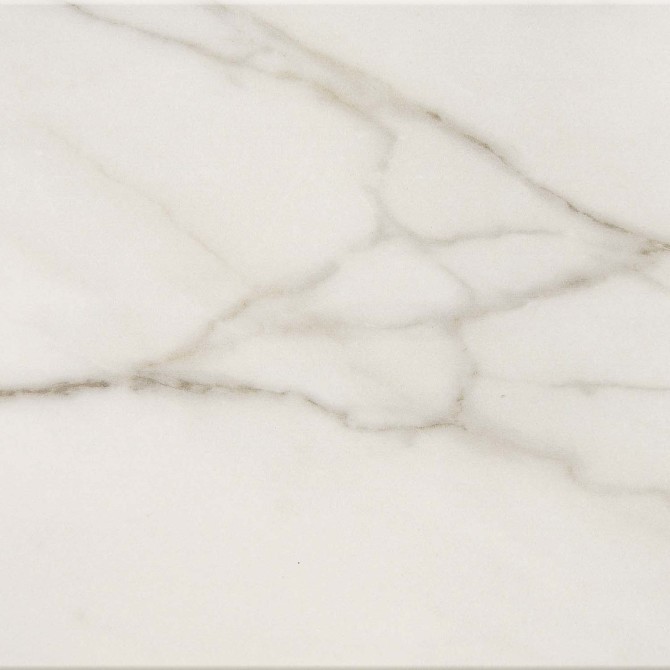 Mythique Marble Calacatta Venecia 12×12 Field Tile Matte Rectified