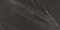 Evolve Black 24×48 Field Tile Matte Rectified