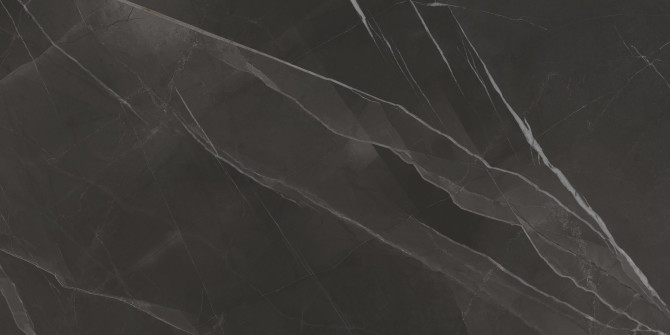 Evolve Black 24×48 Field Tile Matte Rectified