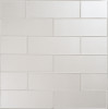 Astoria Bergamot 3×9 Field Tile Glossy