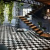 Belgica Belgica 8x8 and Carrara 8x8