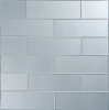 Astoria Gibson 3×9 Field Tile Glossy