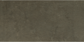 Gotham Dockside 12×24 Field Tile Matte