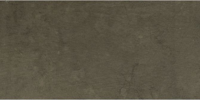 Gotham Dockside 12×24 Field Tile Matte