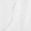 Bianco Venatino 12×12 Field Tile Polished