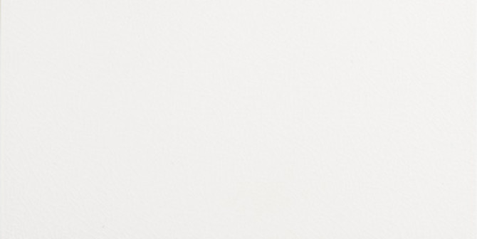 Stellar Quickship Gardenia 6X12 FIELD TILE