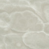Lustra Onyx Feather 24×24 Field Tile Polished Rectified