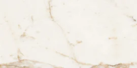 Classica Calacatta Gold 12×24 Field Tile