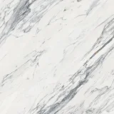 Majesto Calacatta Corchia 48×48 Field Tile Honed Rectified