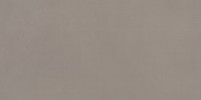 Neoconcrete Medium Gray 12×24 Field Tile Matte Rectified