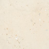 Volpino White 24×24 Field Tile Sand Matte Rectified