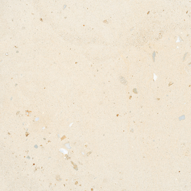 Volpino White 24×24 Field Tile Sand Matte Rectified