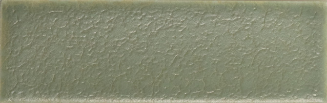Skin Moss 2×5 Field Tile Matte