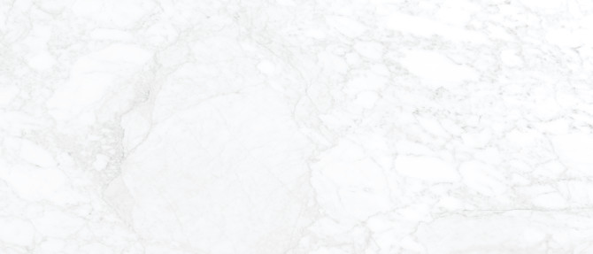 Jem Adagio White 48×110 Field Tile Polished Rectified