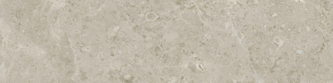 Ritz Gray 3×12 Field Tile Honed