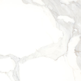 Calacatta 24×24 Field Tile Honed Rectified