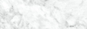 La Marca Carrara Gioia 4X12 Polished Rectified