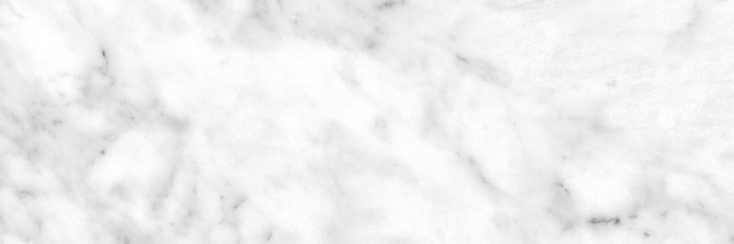 La Marca Carrara Gioia 4X12 Polished Rectified