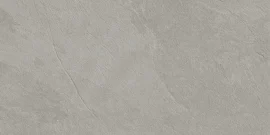 Albany Chrome 12×24 Field Tile Rectified
