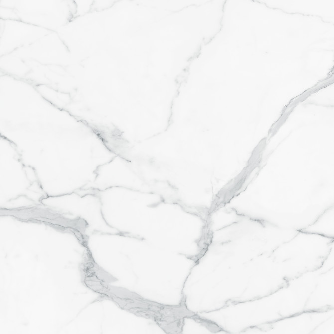 Majesto Statuario 48×48 Field Tile Honed Rectified