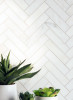 Pietra Bello Bianco Bello Herringbone Mosaic