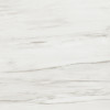Majesto Calacatta Cremo 24×24 Field Tile Polished Rectified