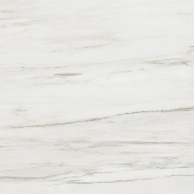 Majesto Calacatta Cremo 24×24 Field Tile Polished Rectified