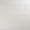 Astoria Bergamot 3×6 Field Tile Glossy