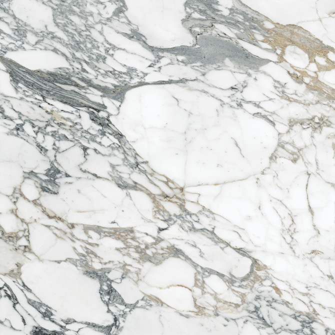 Majesto Arabescato Corchia 48×48 Field Tile Polished Rectified