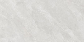 Epitome Light 24×48 Field Tile Matte Rectified