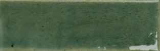 Colour Notes Fennel 2×5 Field Tile Glossy