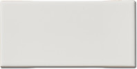 Pure Pure White 4-1/2×8 Millenium Moulding