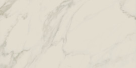 Jet Stone Stone Statuario 12×24 Field Tile