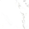 Classic Calacatta 12X24 Matte
