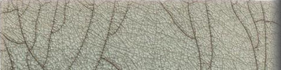Euphoria 2×8 Bullnose (2″ Glazed Edge)