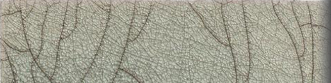 Color Variation Image