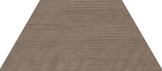 60 Degrees Wood Dark 4×9 Trapezium Field Tile Matte