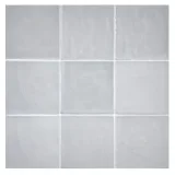 TrueTones Ceramics Greyity Gloss 4-1/2×4-1/2 Zelli Field Tile Gloss