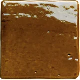 Roots Honey 4×4 Field Tile Glossy
