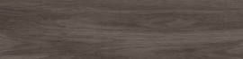 Frontier20 Essence Grey 12×48 Field Tile Rectified