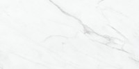 Altezza Carrara 12×24 Field Tile