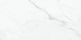 Altezza Carrara 12×24 Field Tile