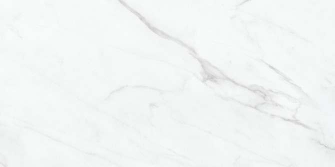 Altezza Carrara 12×24 Field Tile